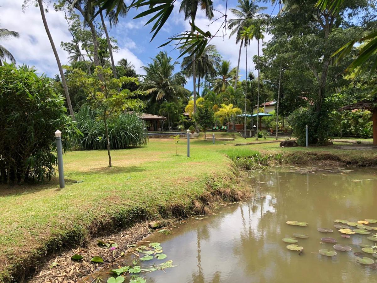 Avalon Village Resort Induruwa Bagian luar foto