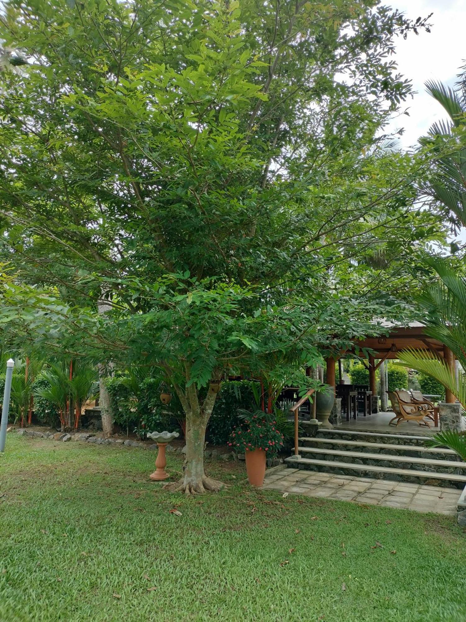 Avalon Village Resort Induruwa Bagian luar foto