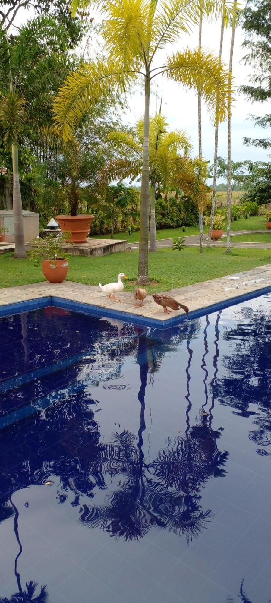 Avalon Village Resort Induruwa Bagian luar foto