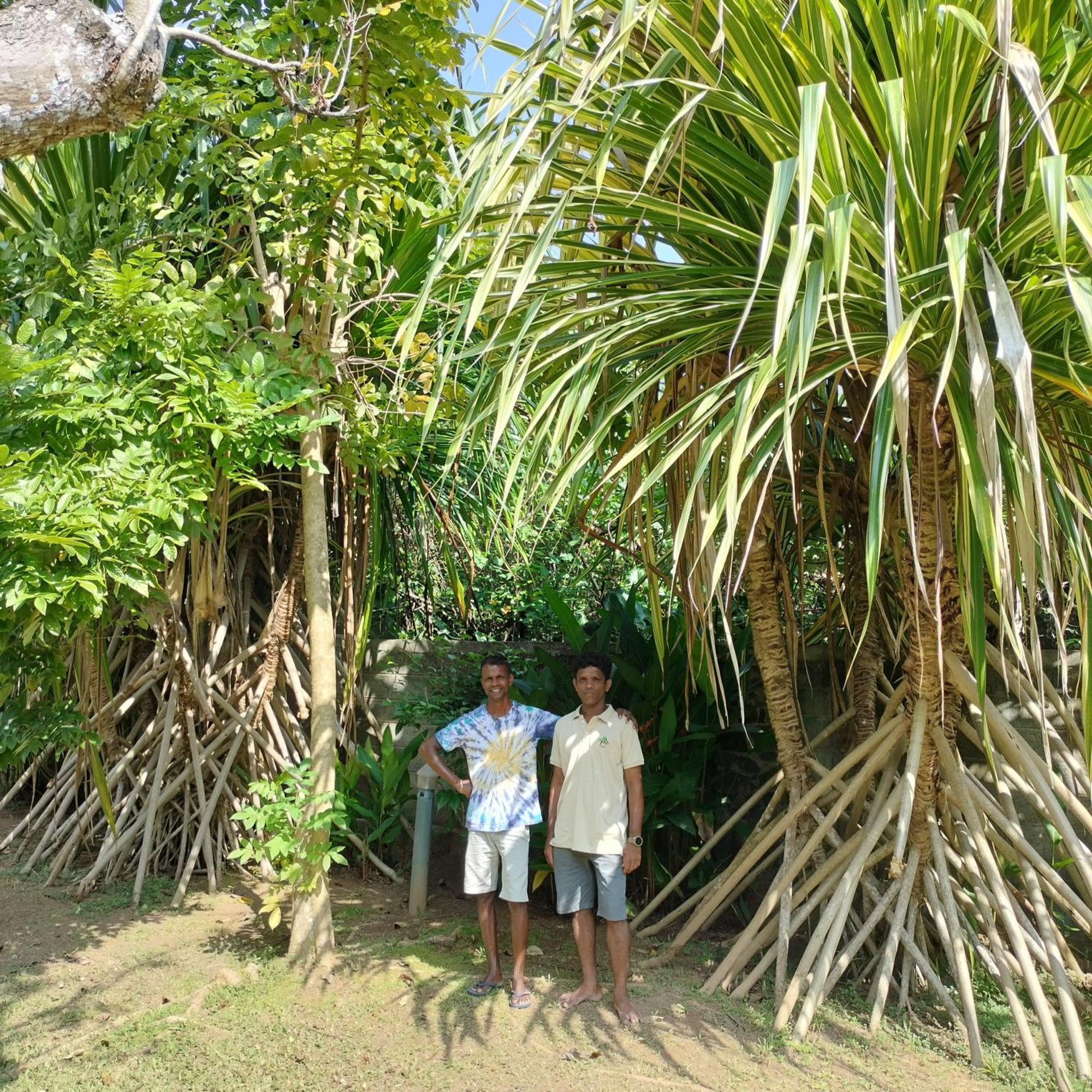 Avalon Village Resort Induruwa Bagian luar foto