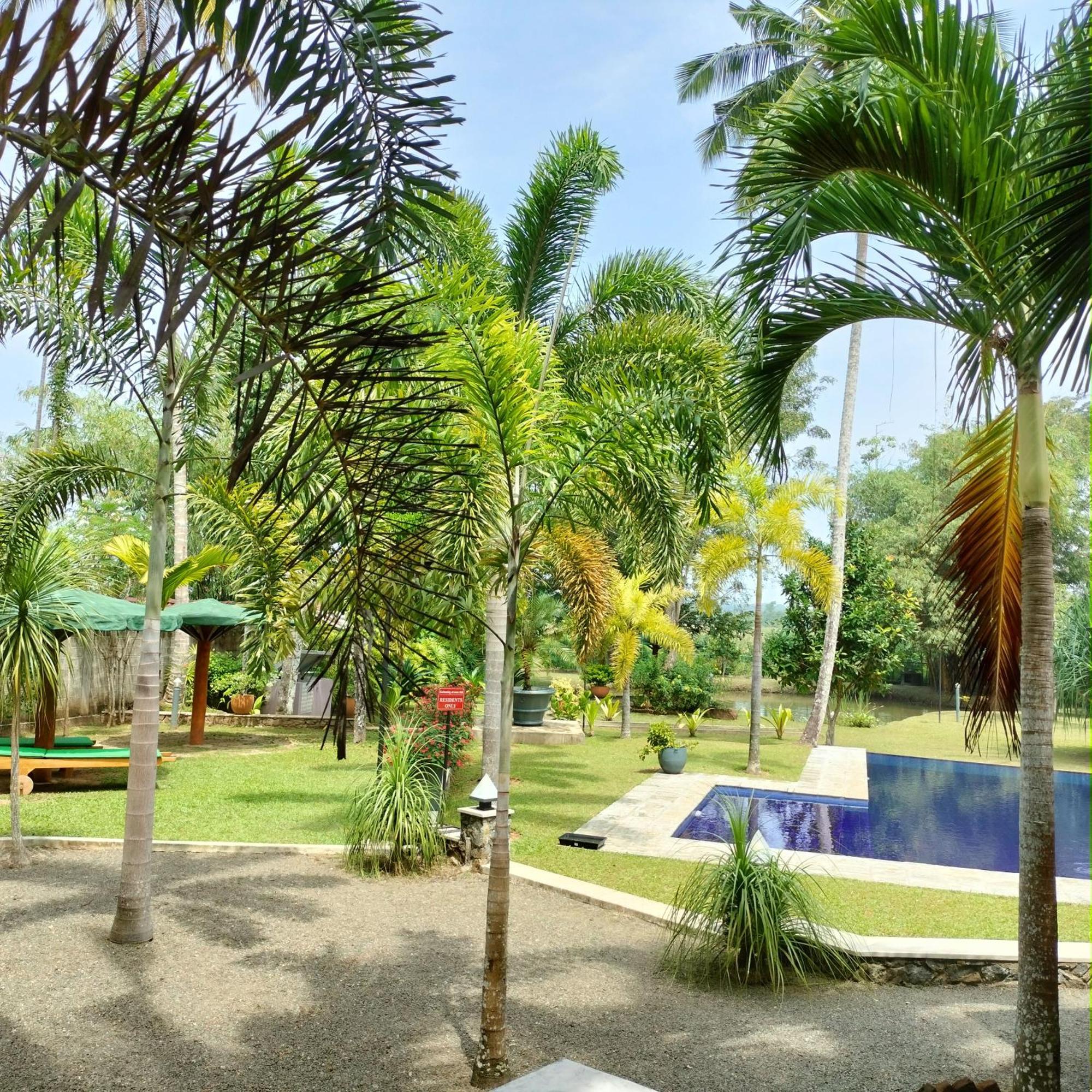 Avalon Village Resort Induruwa Bagian luar foto