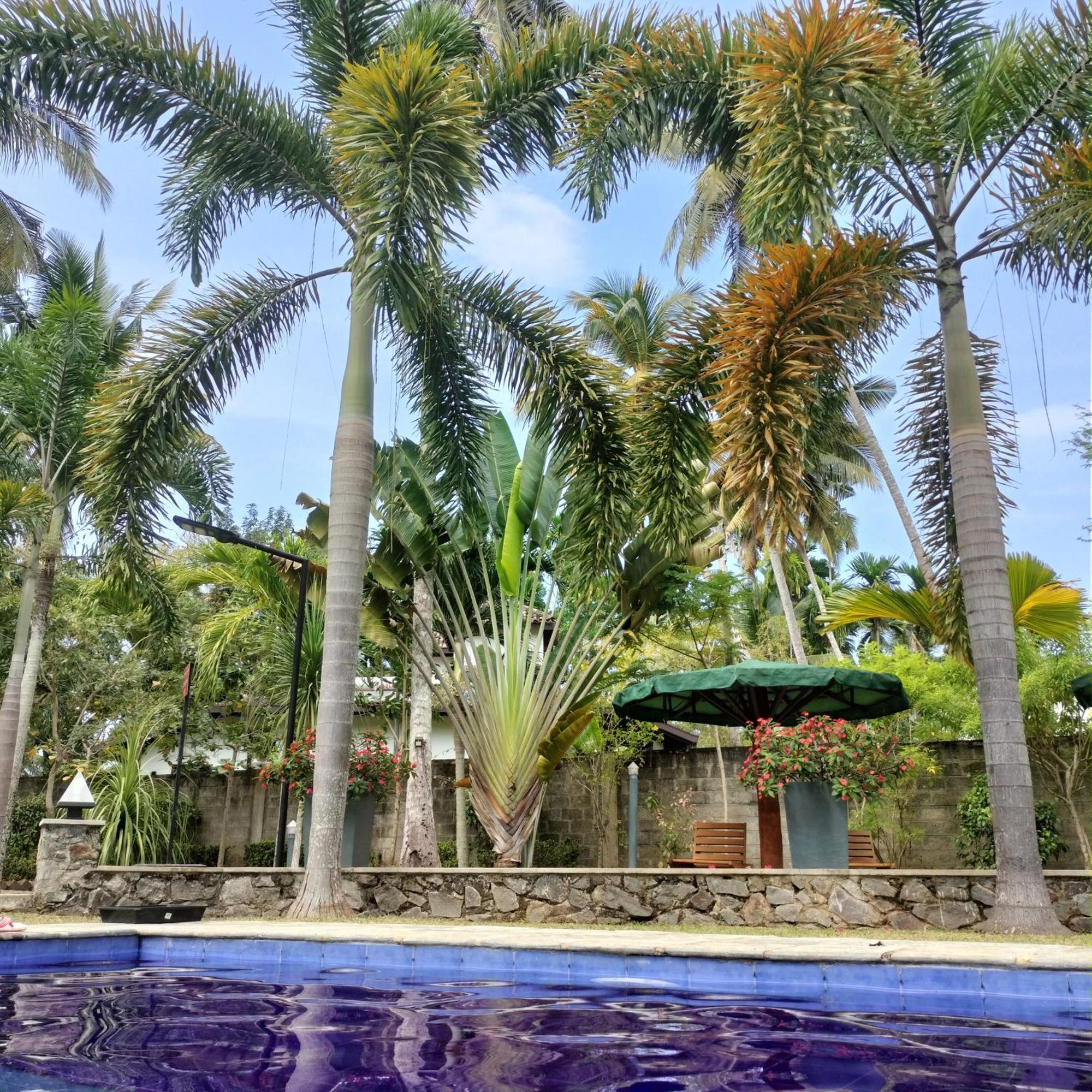 Avalon Village Resort Induruwa Bagian luar foto