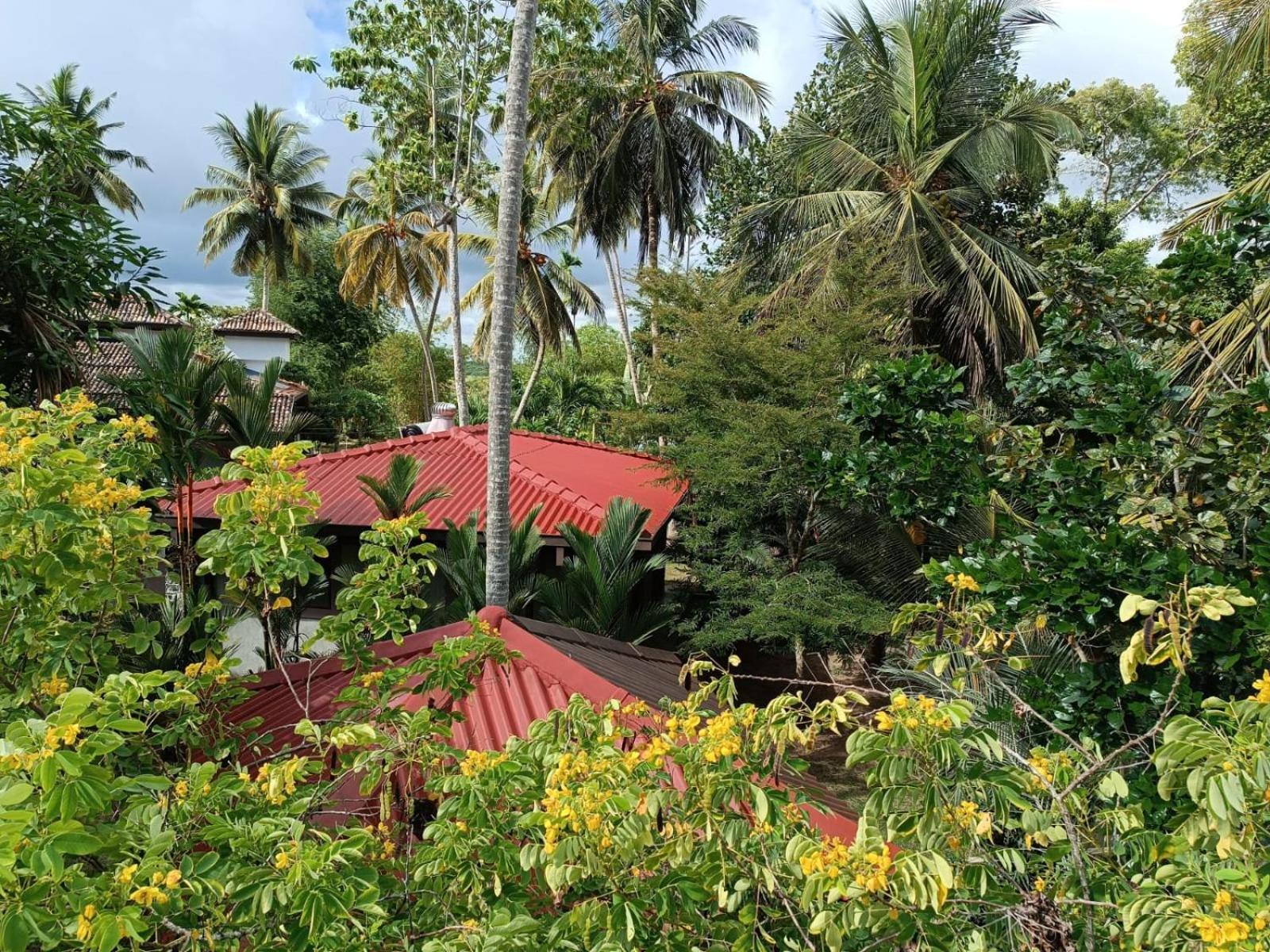 Avalon Village Resort Induruwa Bagian luar foto